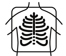 Chiropractic Xray And Analysis